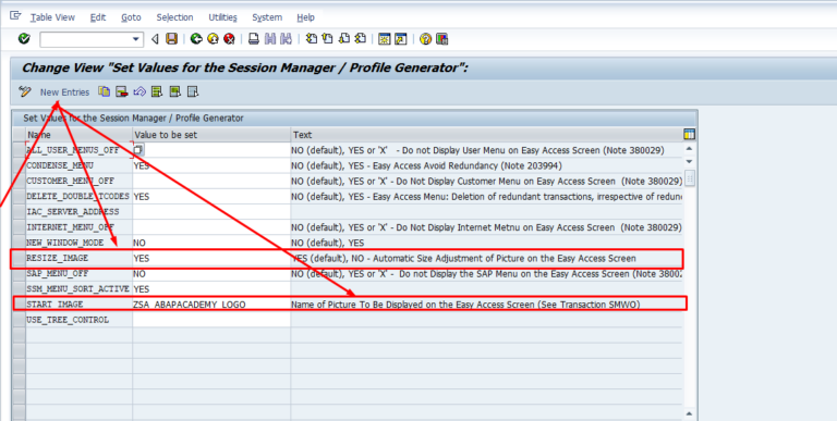 How to Change SAP Easy Access Screen Picture