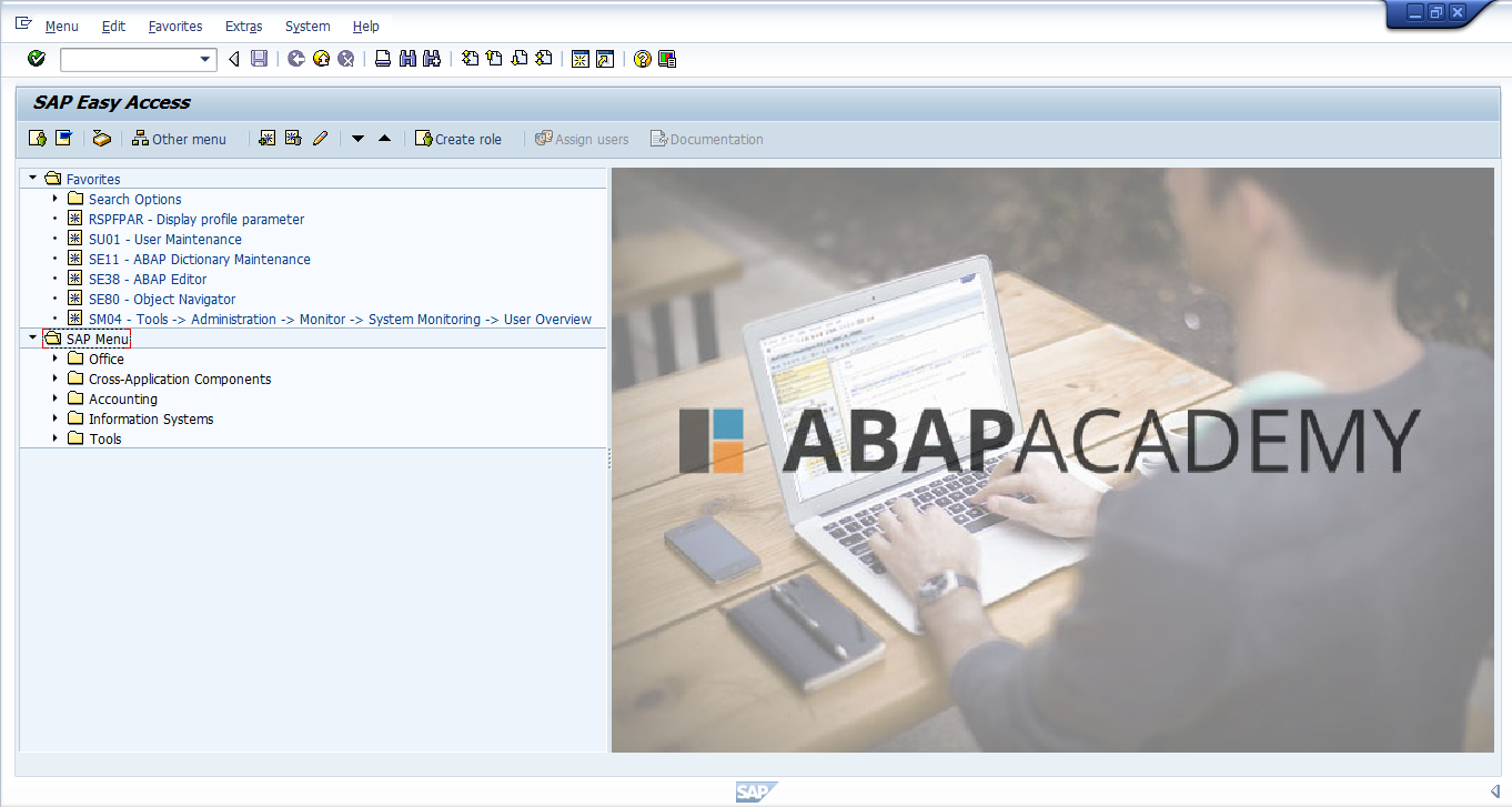How To Change SAP Easy Access Screen Picture