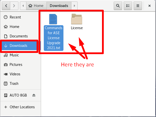 How to update ASE License - Copy files to Downloads folder