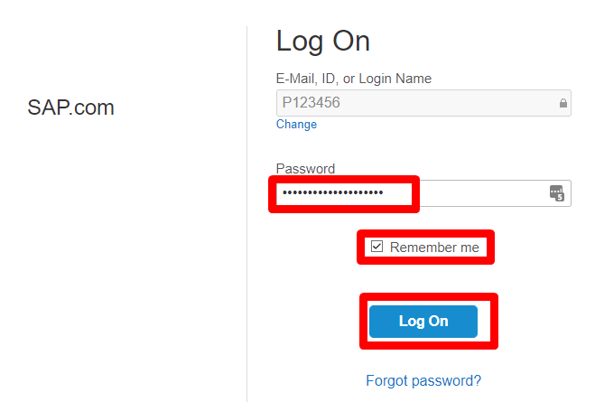 Provide Your Password and hit "Log On"