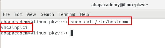 Install SAP Software Guide - sudo cat /etc/hostname